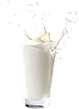 乳白色の風味
